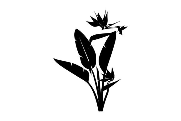 Download Bird of Paradise Flower Silhouette with - Premium Resources
